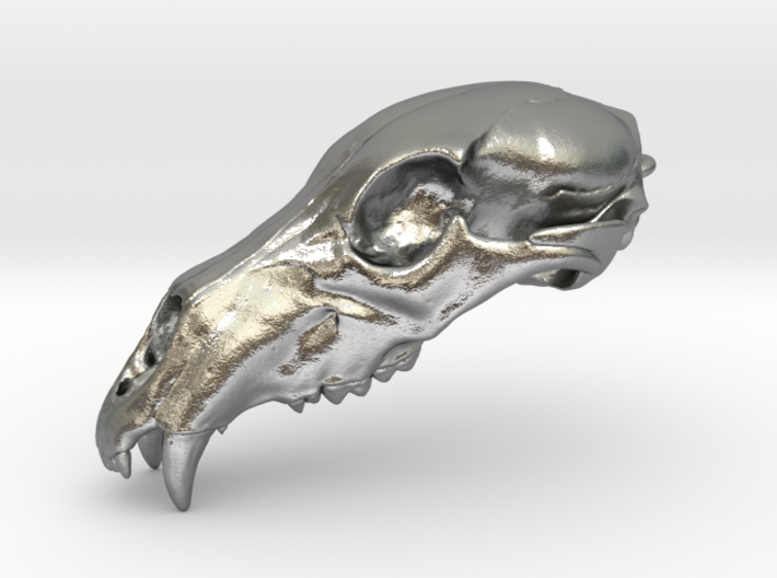 Bear Skull pendant, 4cm 3d printed 