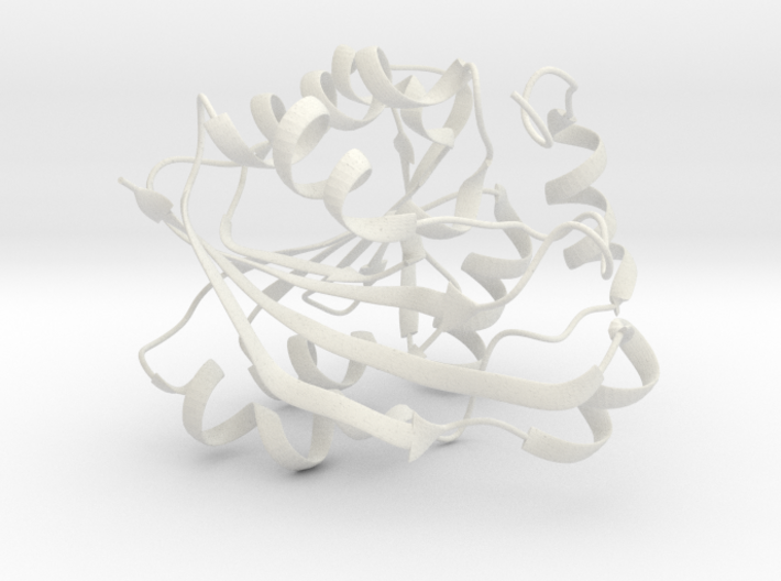 Thiopurine S-Methyltransferase Protein 3d printed