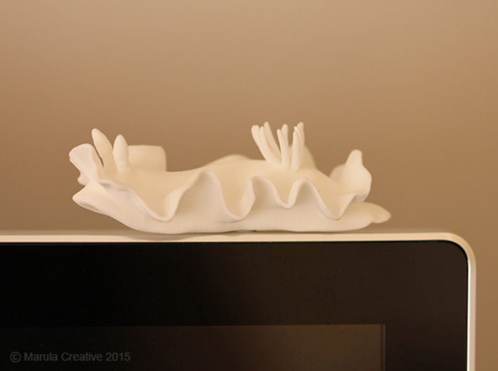 Becia the Nudibranch 3d printed White Strong & Flexible Polished - on computer monitor! 