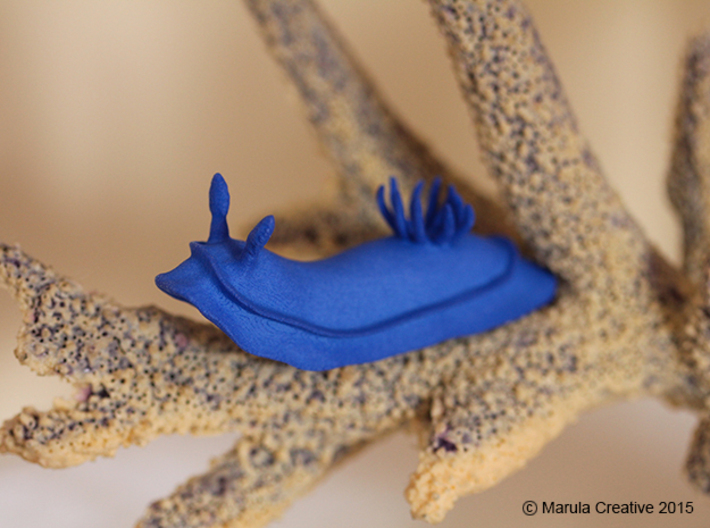 Lani the Nudibranch 3d printed Blue Strong & Flexible Polished