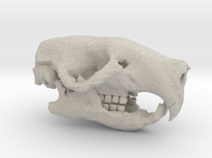 Rat Skull 3d printed