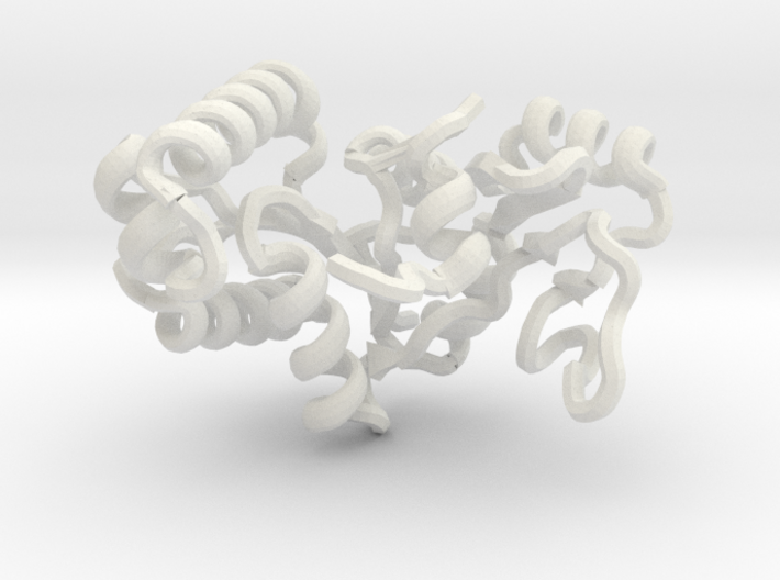 DLG GK Domain (pdb id: 3WP0) 3d printed