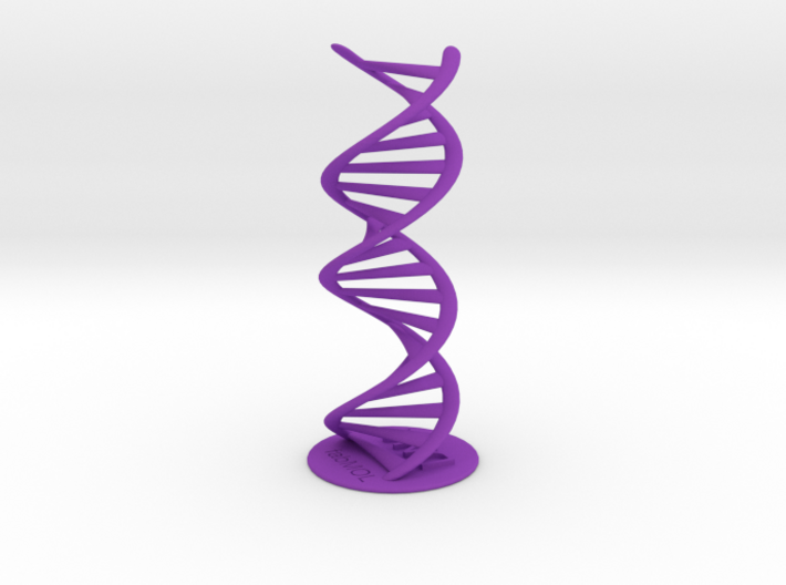 DNA double helix with stand (schematic) 3d printed