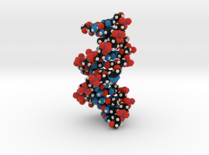 Triazole-linked DNA double helix 2.5x 3d printed