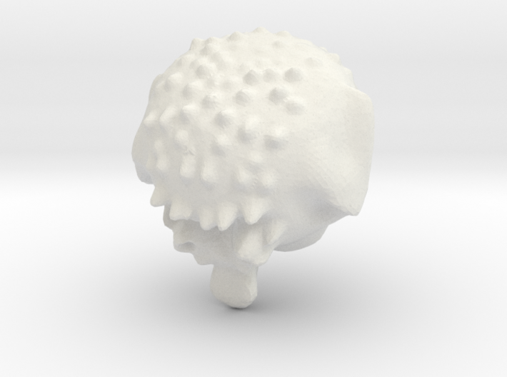 Head from leopolyNEXT 3d printed