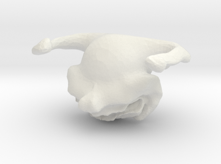 Rabbit or What? 3d printed