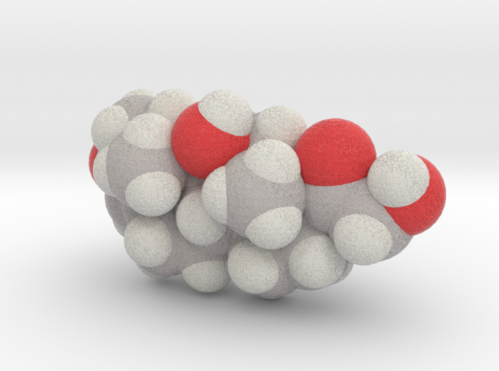 Cortisol molecule (x40,000,000, 1A = 4mm) 3d printed