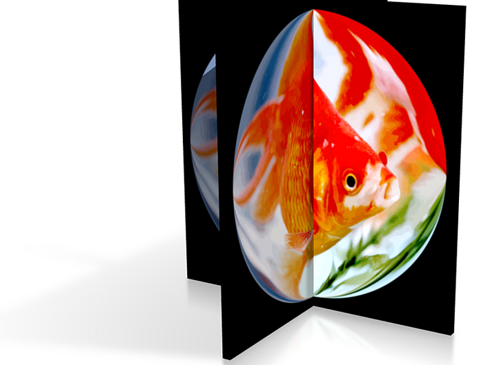 zz - Tokyo Fish Twist 3 08in 3d printed