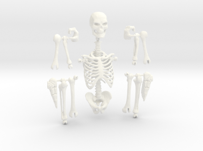 Articulated Skeleton 3d printed