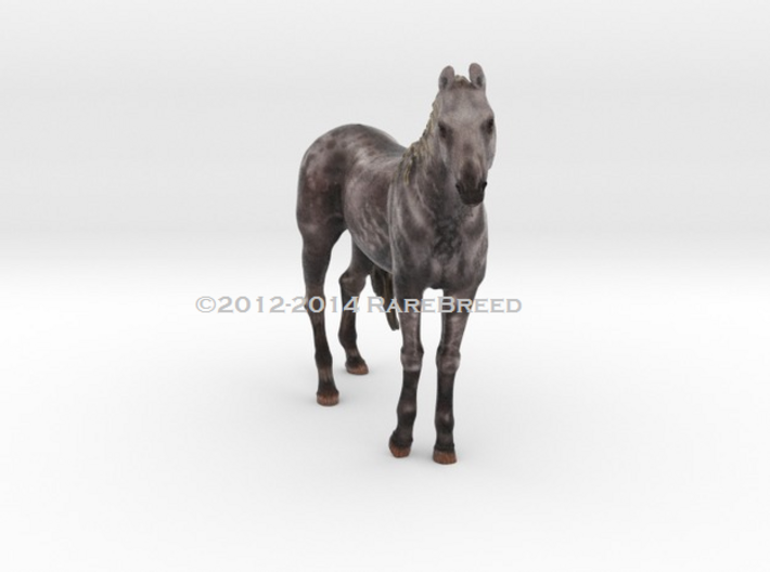 Arabian Mare Color 3d printed Arabian mare by ©2012-2014 RareBreed