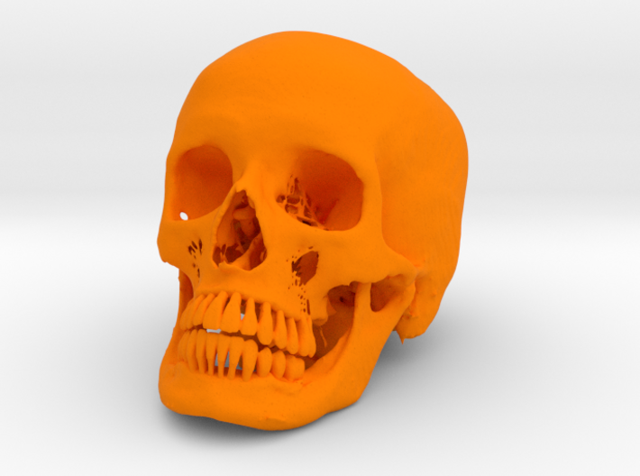 Jack-o'-lantern skull from CT scan, half size 3d printed