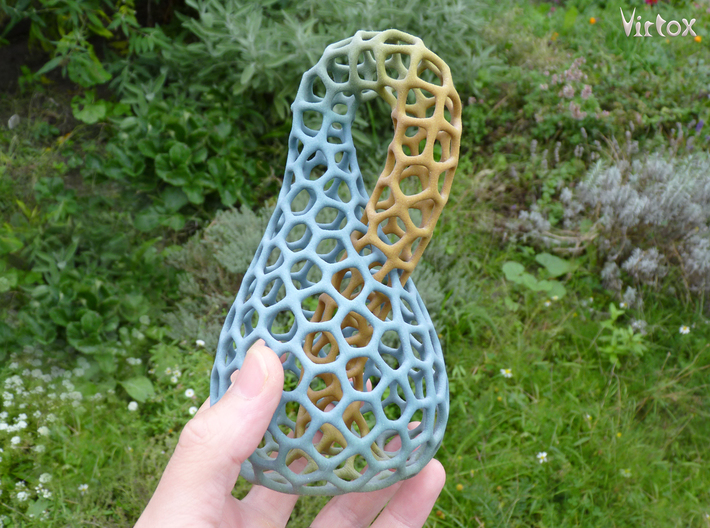 Klein Bottle - Voronoi Weave - Color 3d printed Medium 16cm/6.3&quot;