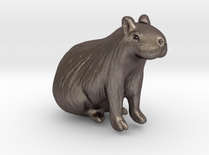 Capybara Hollow 3d printed