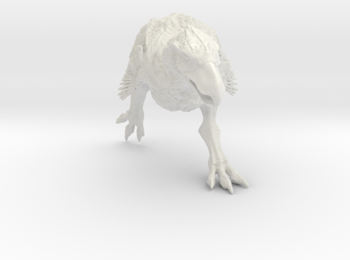 Brontornis 3d printed Terror bird by ©2012-2014 RareBreed