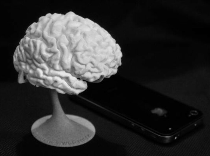 Brain replica half scale from MRI scan 3d printed 