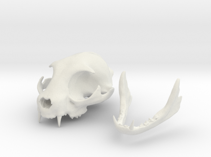 Mini Cat Skull Sculpture 3d printed 