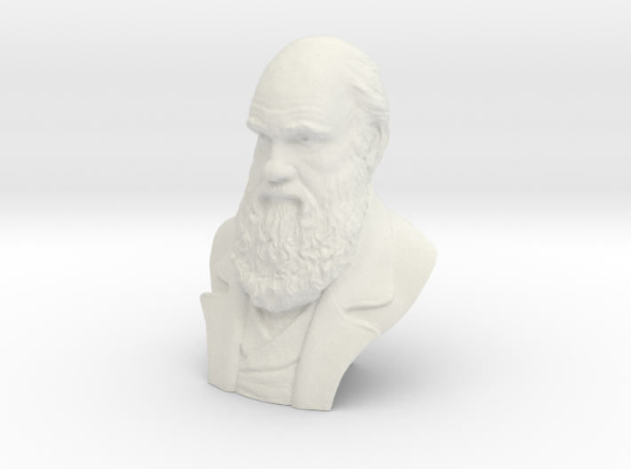 Charles Darwin 16&quot; Bust 3d printed