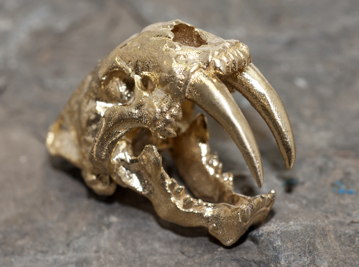 Sabertooth Tiger with necklace loophole 3d printed Raw Brass