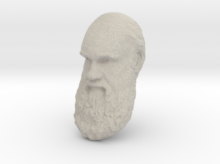 Charles Darwin 12&quot; Head Wall Mount 3d printed