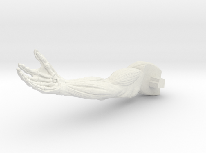AnatomyR-arm 3d printed