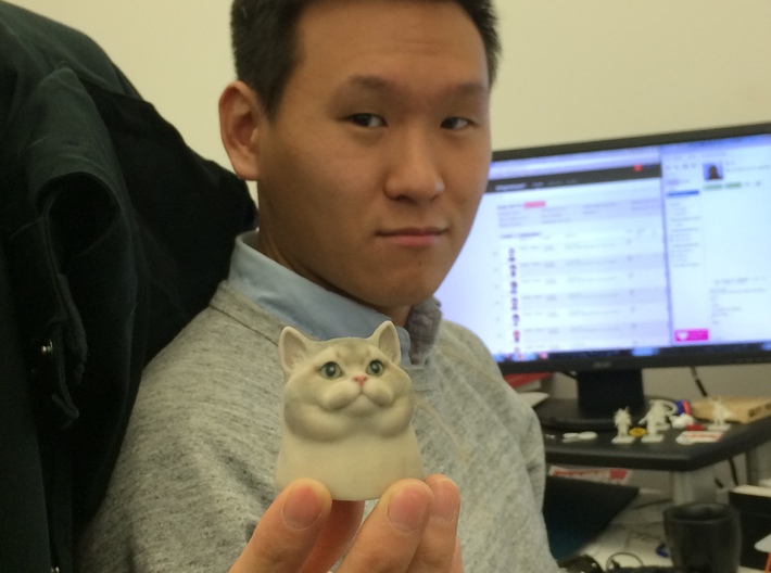 Heavy Breathing Cat 3d printed 