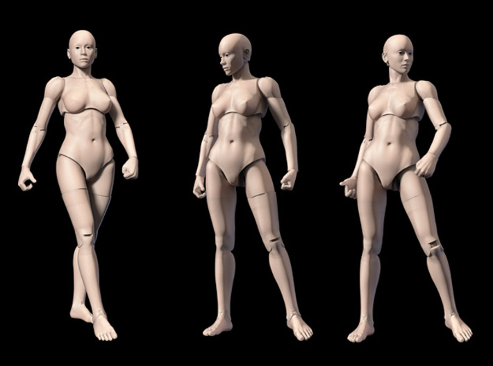 FB01-Body-01  7inch 3d printed Figure comes unpainted