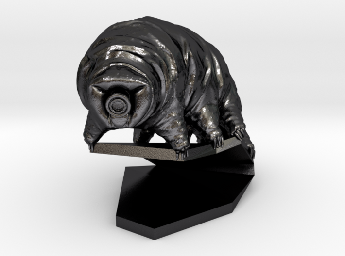 Tardigrade (Water Bear)  3d printed 