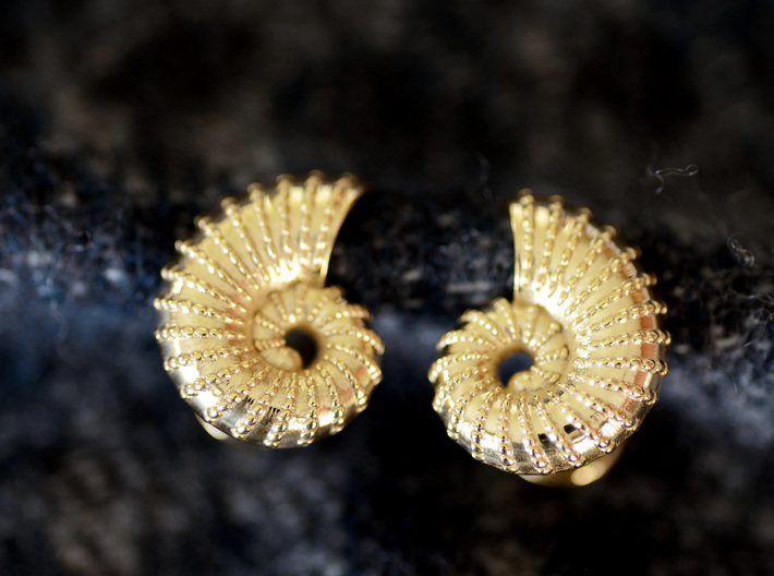 Nautilus Shell Cufflinks 3d printed Add a caption...