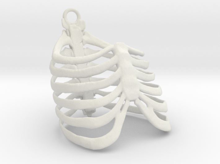 Ribcage Pendant or Finger Ring - 17mm ID 3d printed