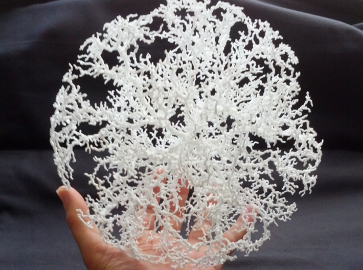 Spherical Dendrite, 2/50 3d printed Photo of 1/50