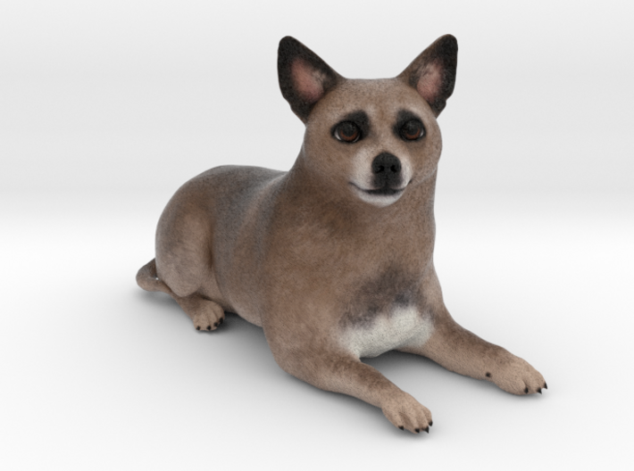 Custom Dog Figurine - Milo 3d printed