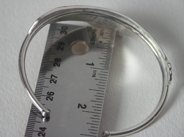 Sea Lion Bracelet Oval 3d printed Photo