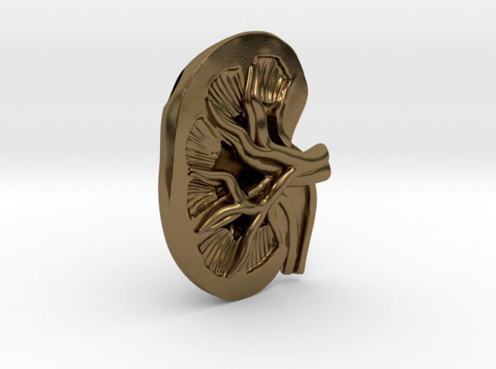 Anatomical Kidney Pendant 3d printed