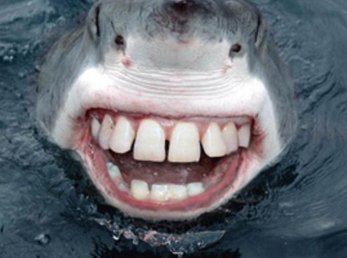 Shark with Human Teeth 3d printed Inspiration