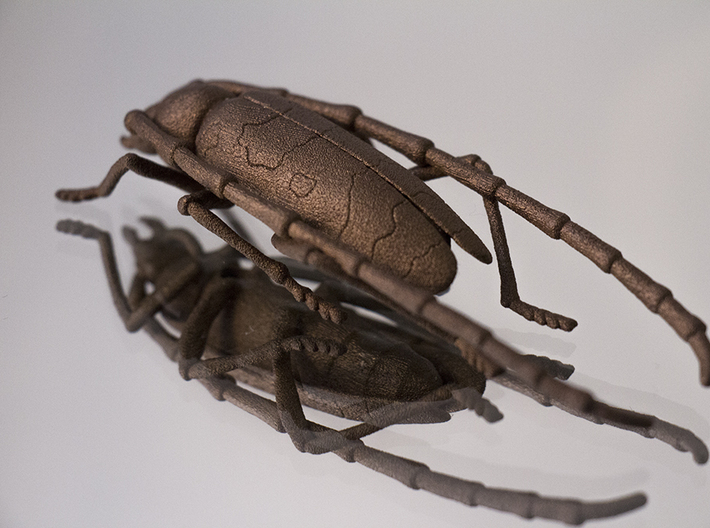Rosalia bug 3d printed matte bronze steel