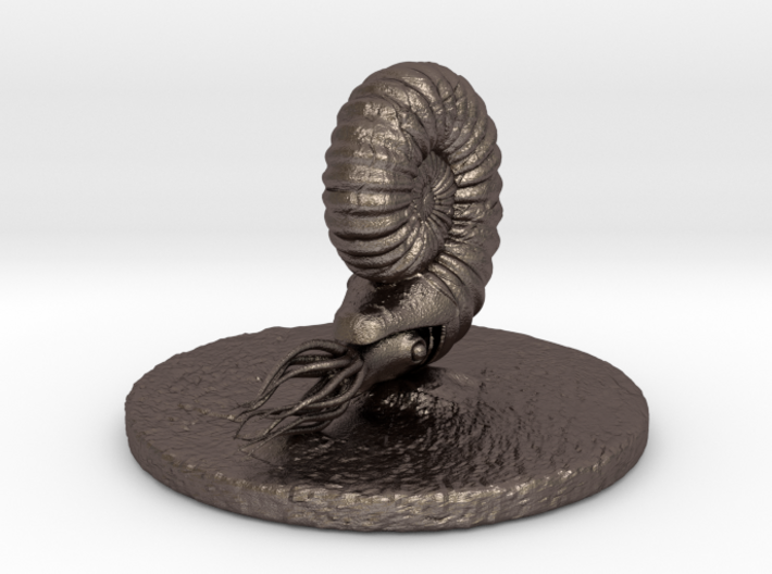 Ammonoidea 3d printed