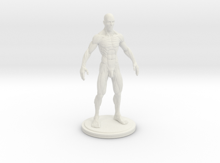 Idealized Male Ecorche Detailed - V2 3d printed
