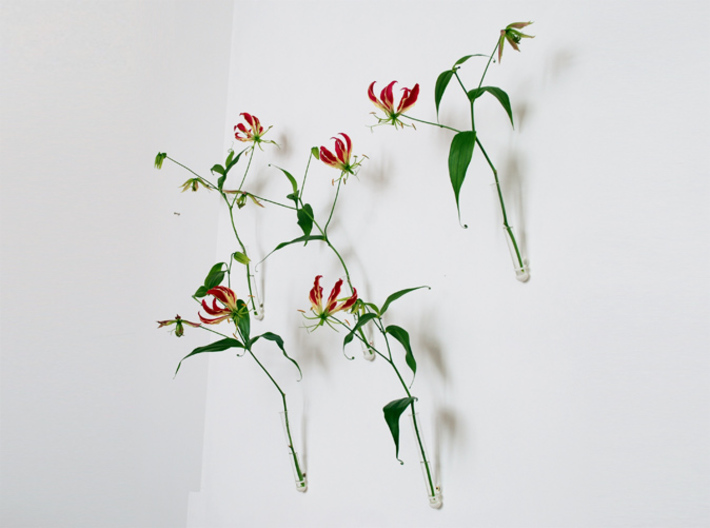 Wallflower  -single 3d printed test tube vases in situ