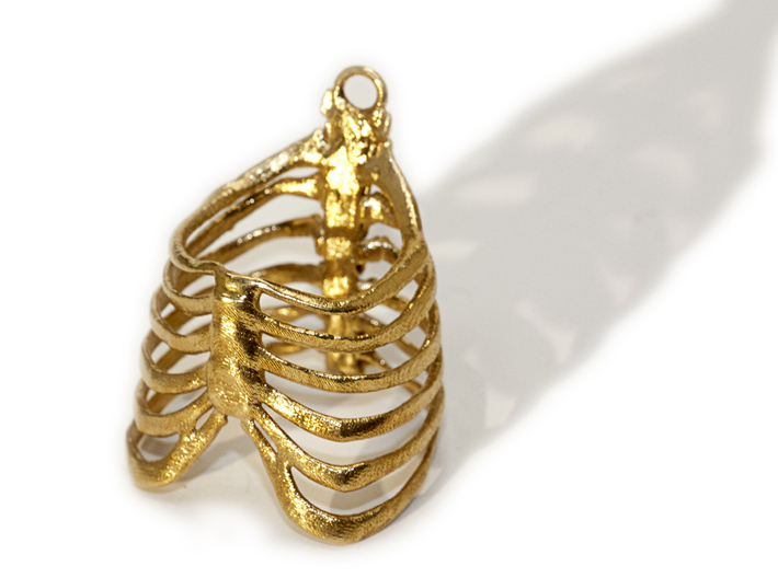 Ribcage Ring or Pendant - 19mm 3d printed 