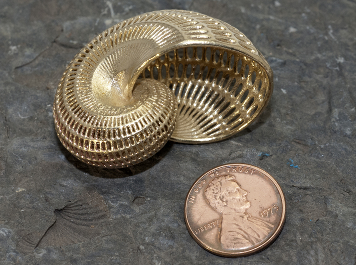 Nautilus Shell Wireframe Pendant Jewelry 3d printed 