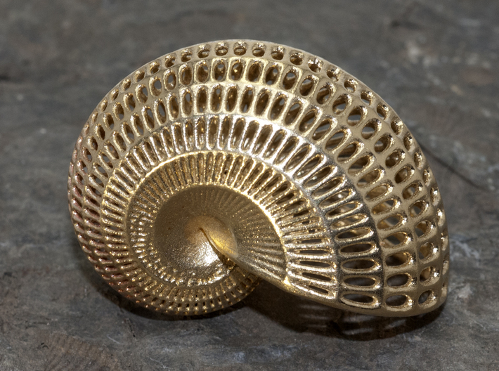 Nautilus Shell Wireframe Pendant Jewelry 3d printed