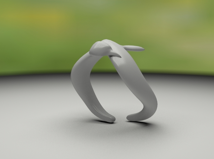 Bird On Wing Ring S 6 us 3d printed 
