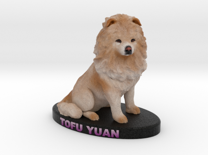 Custom Dog Figurine - Tofu Yuan 3d printed