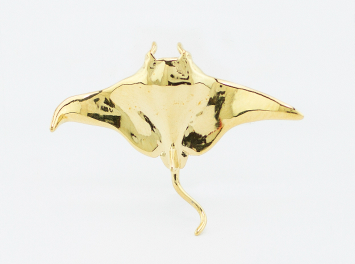 Manta Ray Pendant 3d printed 18K gold plated manta ray pendant by ©2012-2014 RareBreed