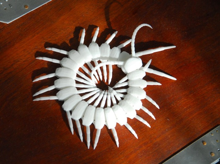 Articulated Centipede (Scolopendra sp.) 3d printed 
