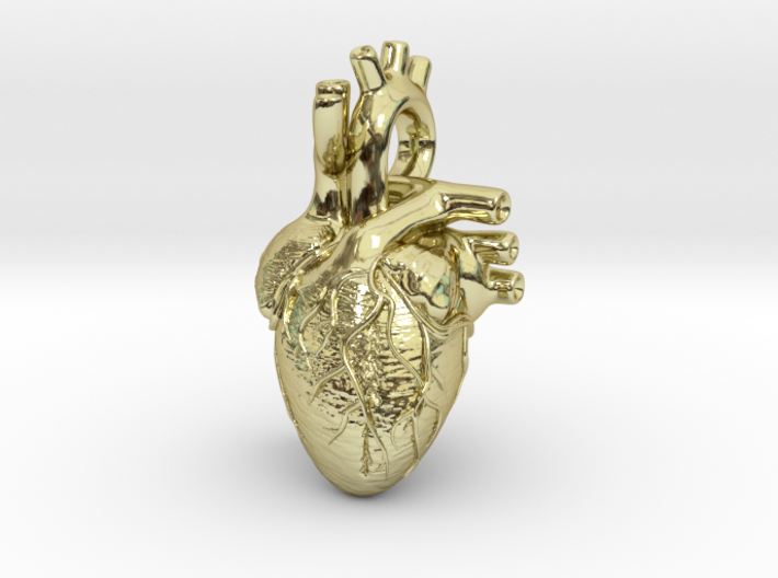 Anatomical Heart Pendant 3d printed