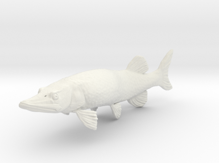 Muskie 3d printed