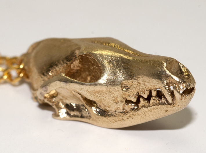 Fox Skull - 27mm 3d printed