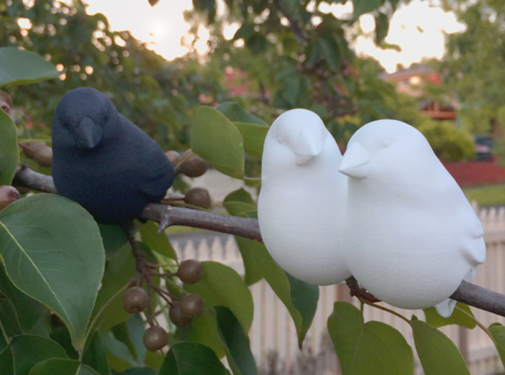 #BFF - Birdly feathered Friends 3d printed 