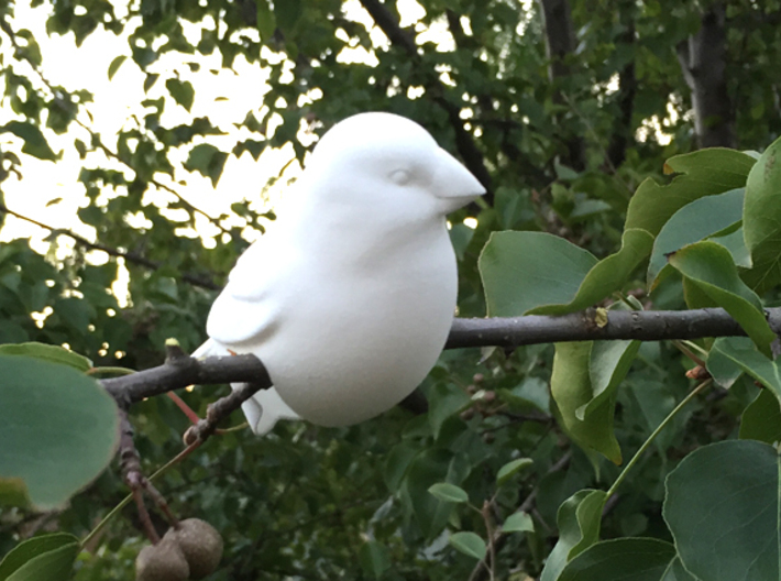 Bird - looking left 3d printed